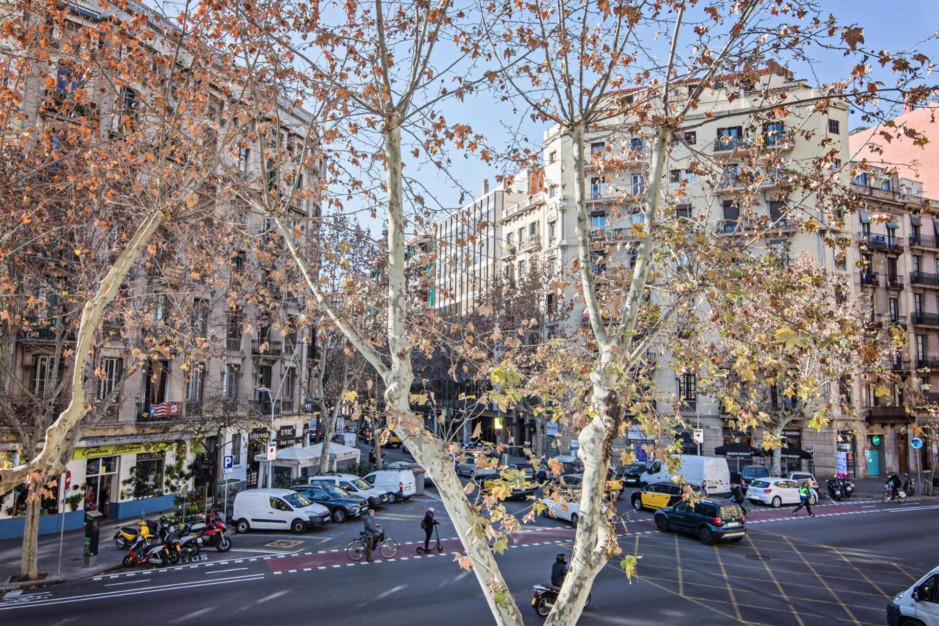 Апартаменти Comte Urgell Барселона Екстер'єр фото